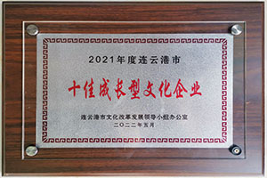 連云港市十佳成長型文化企業(yè)
